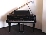 Pleyel Fl&uuml;gel
