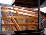 Pleyel Fl&uuml;gel