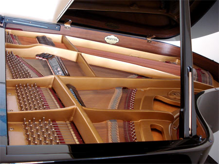 Pleyel Fl&uuml;gel