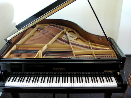 Pleyel Fl&uuml;gel
