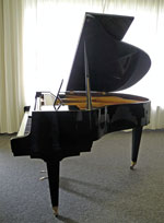 Schimmel Fl&uuml;gel