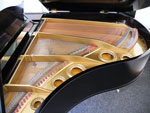 Schimmel Fl&uuml;gel
