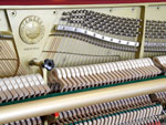 Yamaha braun